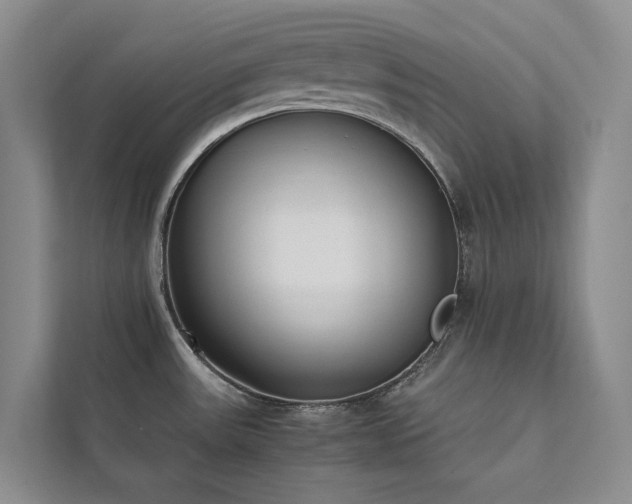 X0000111781531200907231112