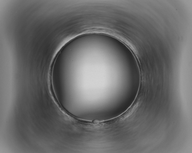 X0000111781533200907231112