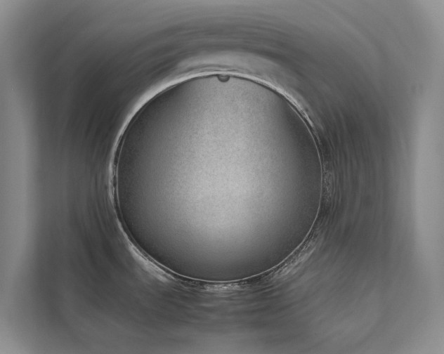X0000111781535200907231112
