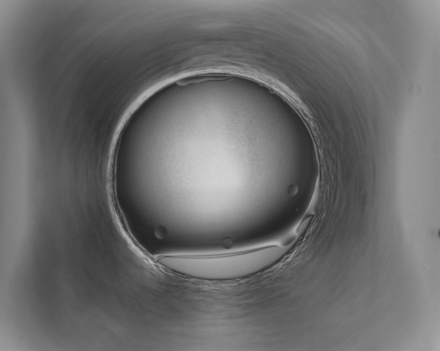 X0000111781536200907231112
