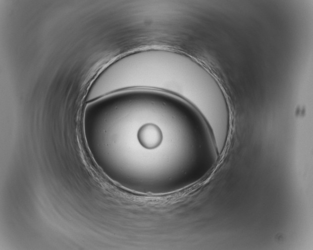 X0000111780001200907301133