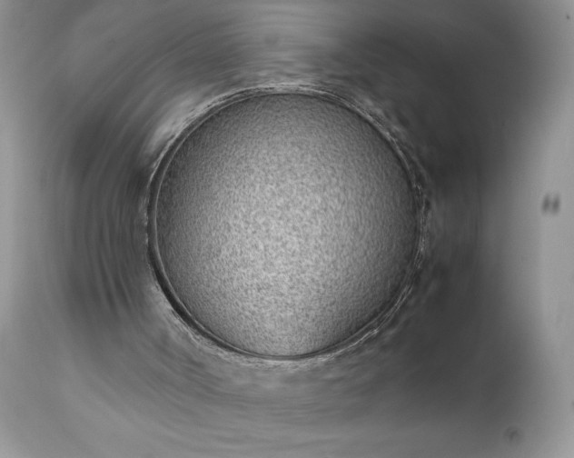 X0000111780002200907301132