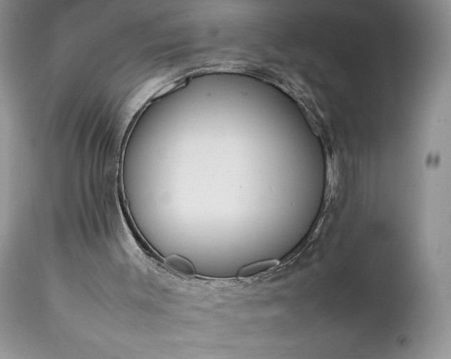 X0000111780003200907301132