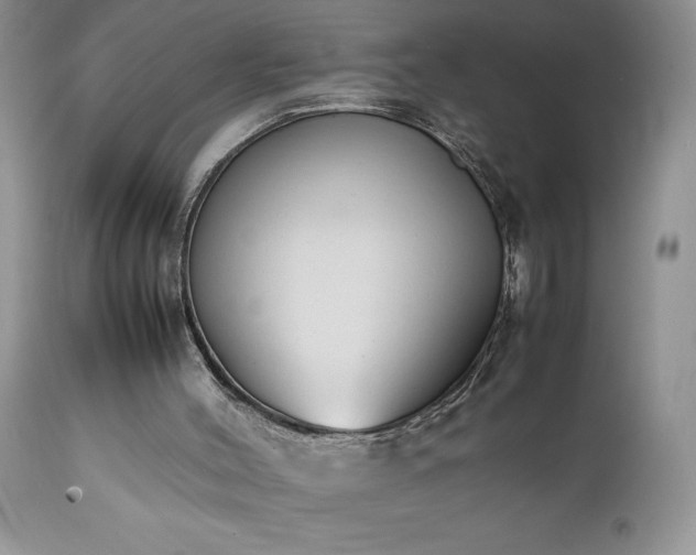 X0000111780004200907301132