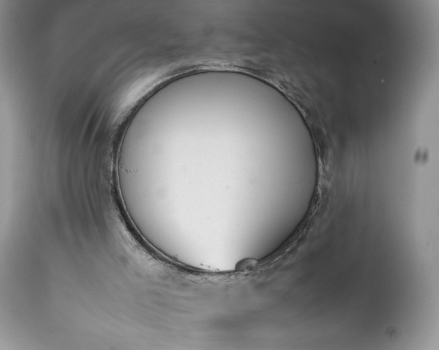 X0000111780005200907301132