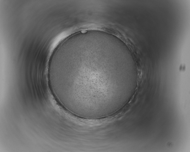 X0000111780006200907301132