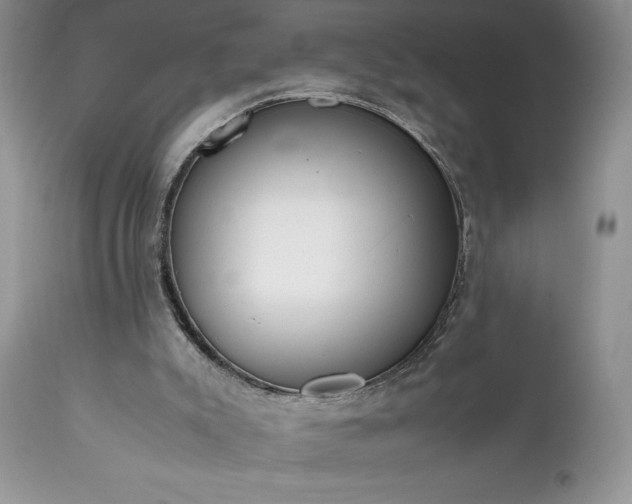 X0000111780007200907301132