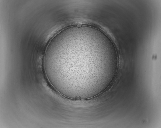 X0000111780010200907301132
