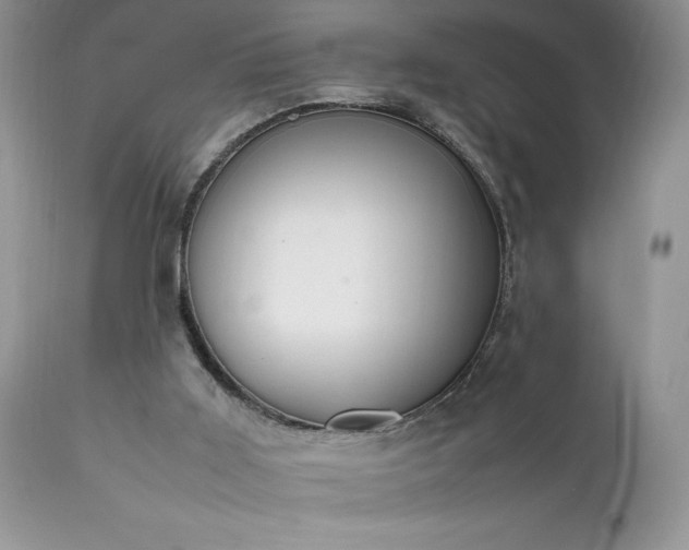 X0000111780011200907301132