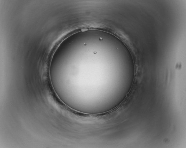X0000111780012200907301132