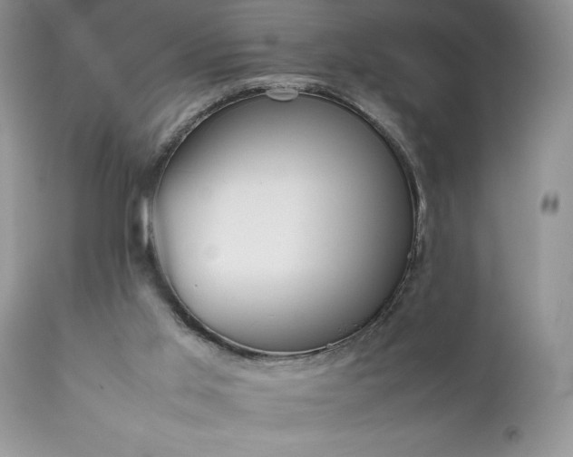 X0000111780013200907301132