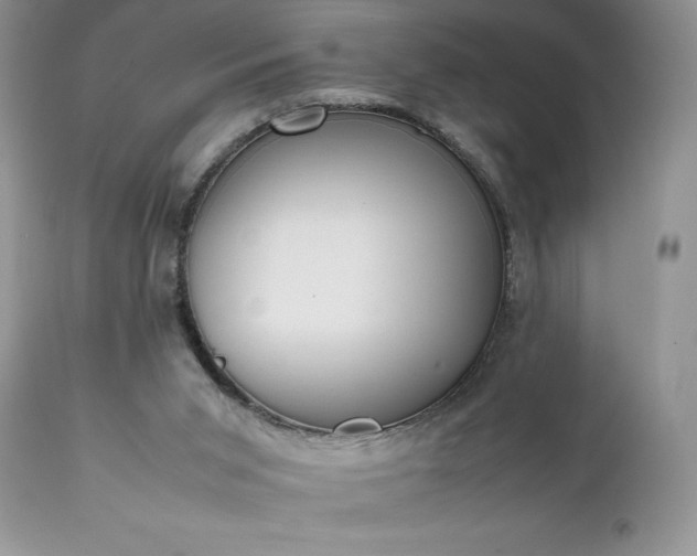 X0000111780015200907301132