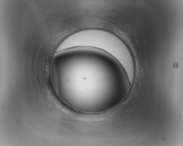 X0000111780017200907301132