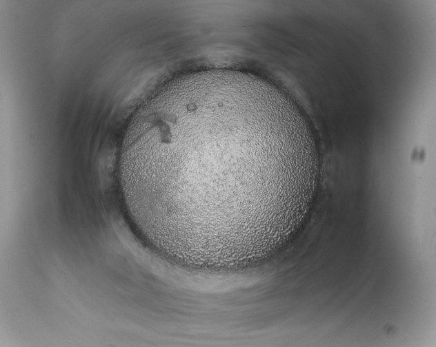 X0000111780018200907301132