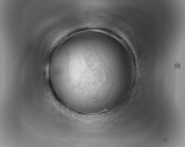 X0000111780019200907301132