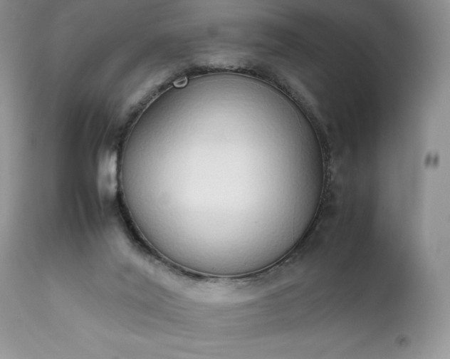 X0000111780020200907301132