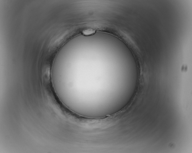 X0000111780021200907301132