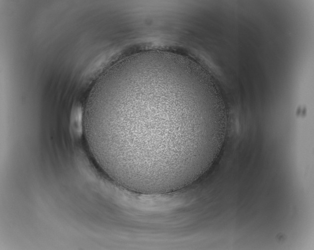 X0000111780022200907301132