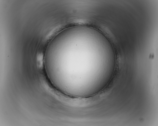 X0000111780024200907301132