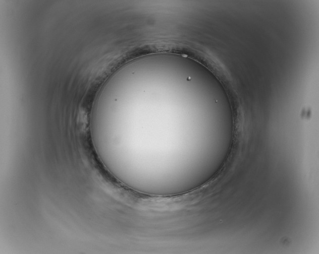 X0000111780025200907301132