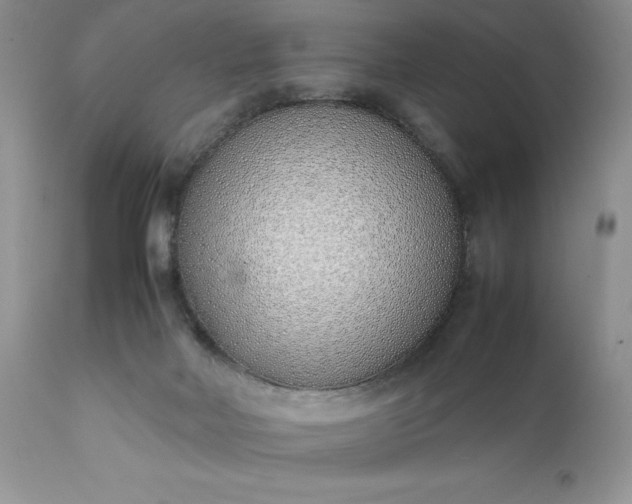 X0000111780026200907301132