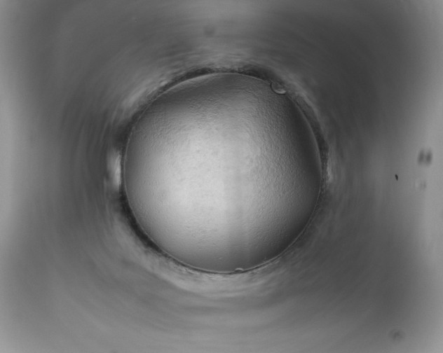 X0000111780027200907301132