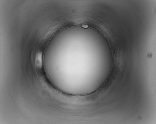 X0000111780028200907301132