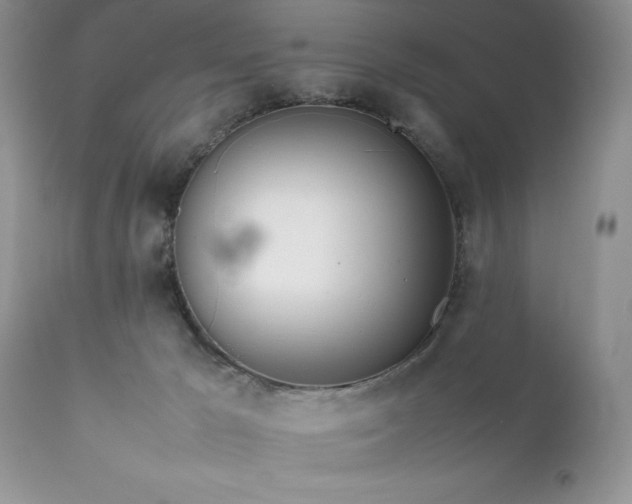 X0000111780029200907301132
