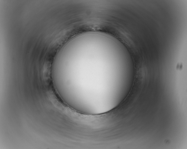 X0000111780030200907301132