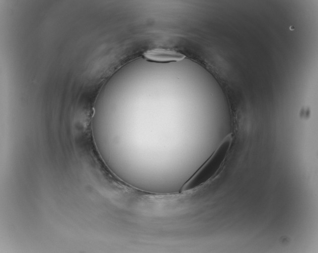 X0000111780033200907301132