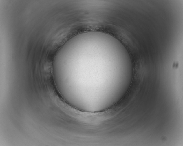 X0000111780034200907301132