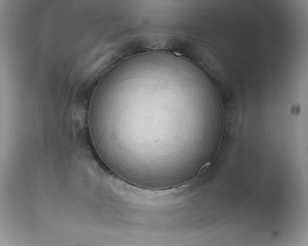 X0000111780035200907301132