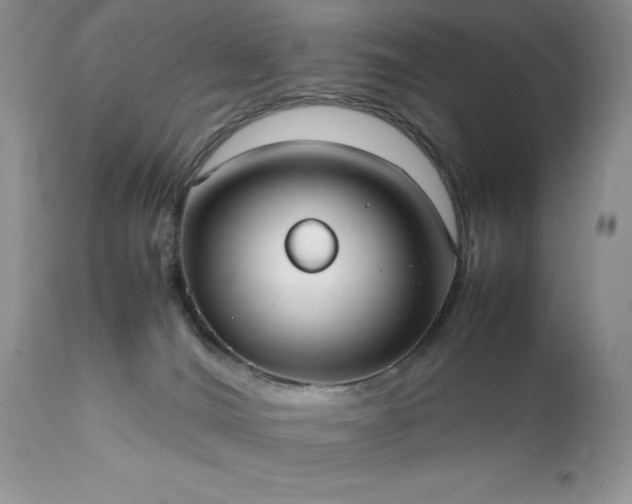 X0000111780036200907301132