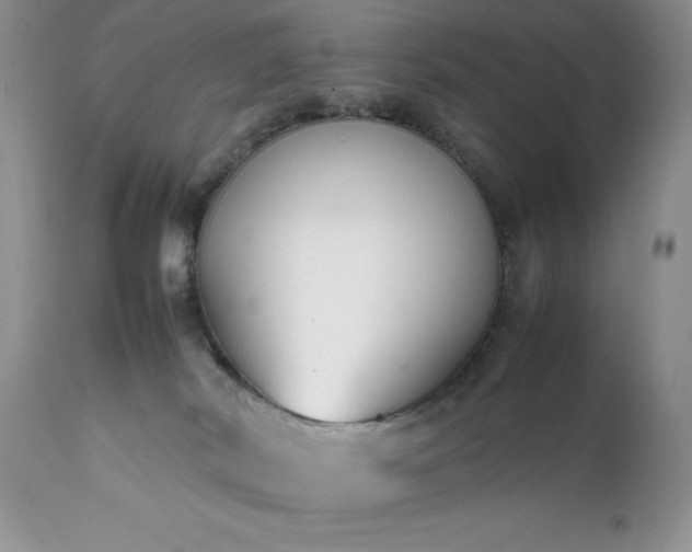 X0000111780038200907301132