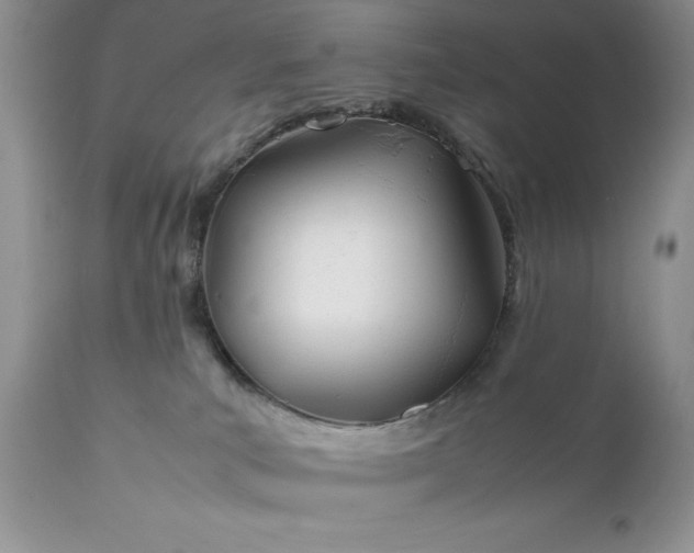 X0000111780039200907301132