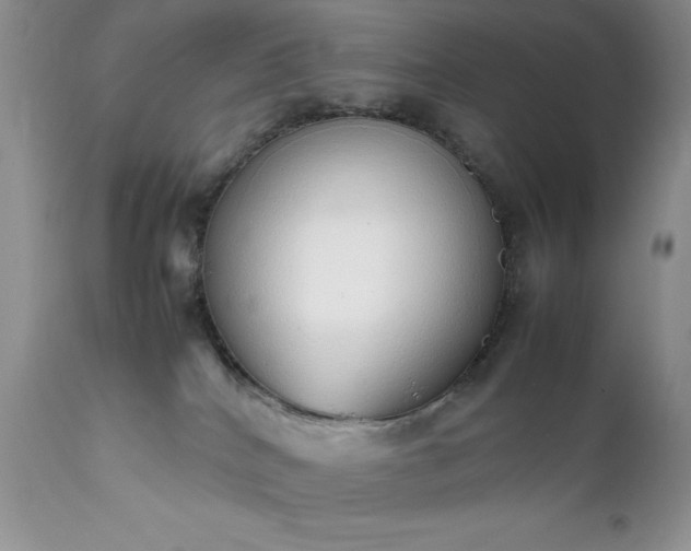 X0000111780040200907301132