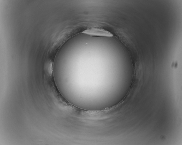 X0000111780041200907301132