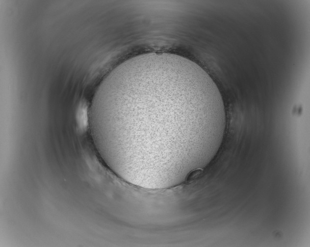 X0000111780042200907301132