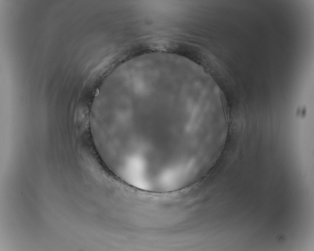 X0000111780043200907301132