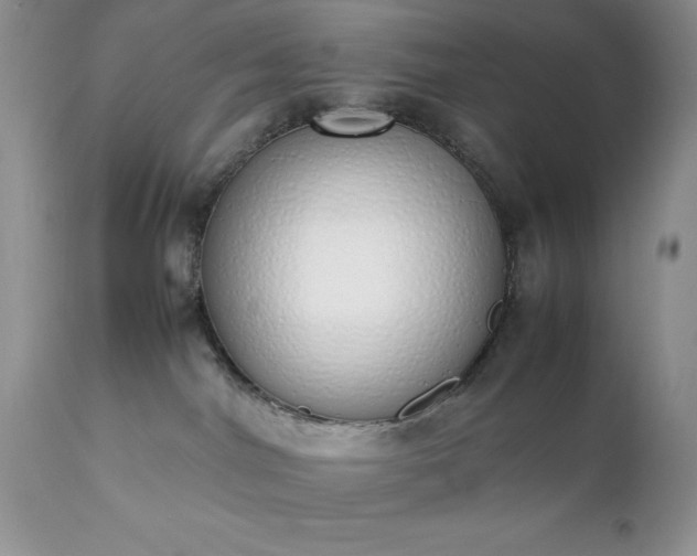 X0000111780044200907301132