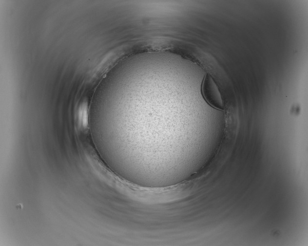 X0000111780046200907301132