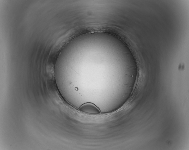 X0000111780048200907301132