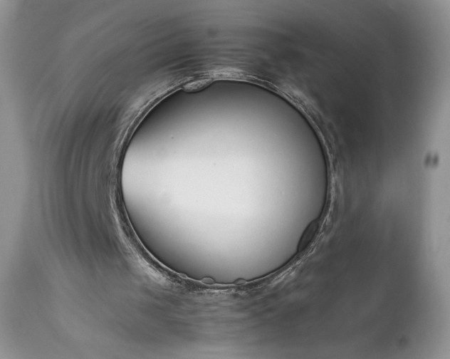 X0000111780049200907301131
