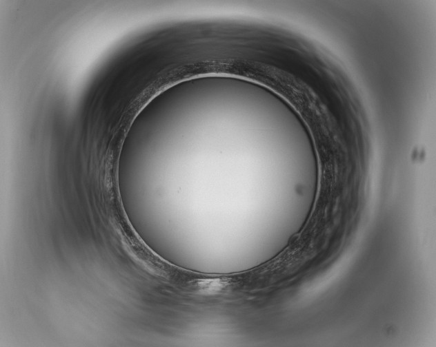 X0000111780050200907301131