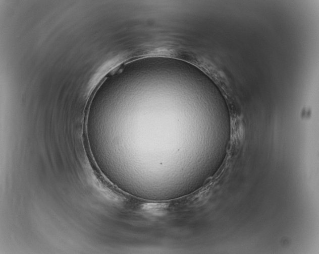 X0000111780051200907301131