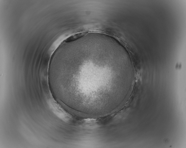 X0000111780052200907301131