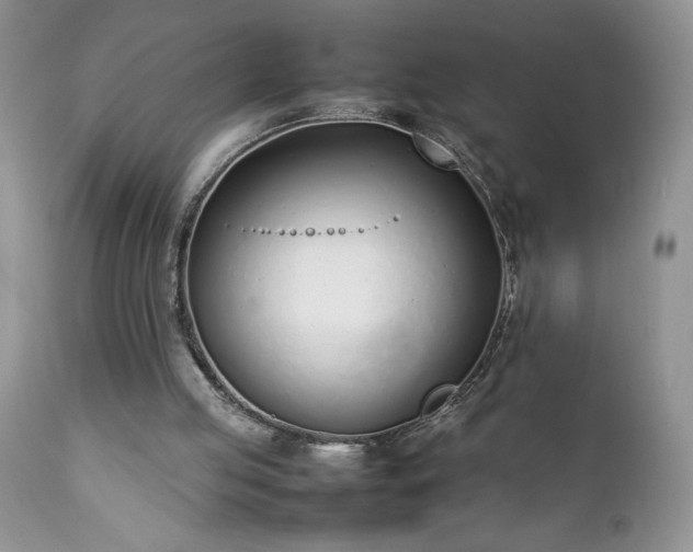 X0000111780053200907301131