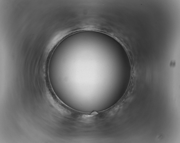 X0000111780055200907301131