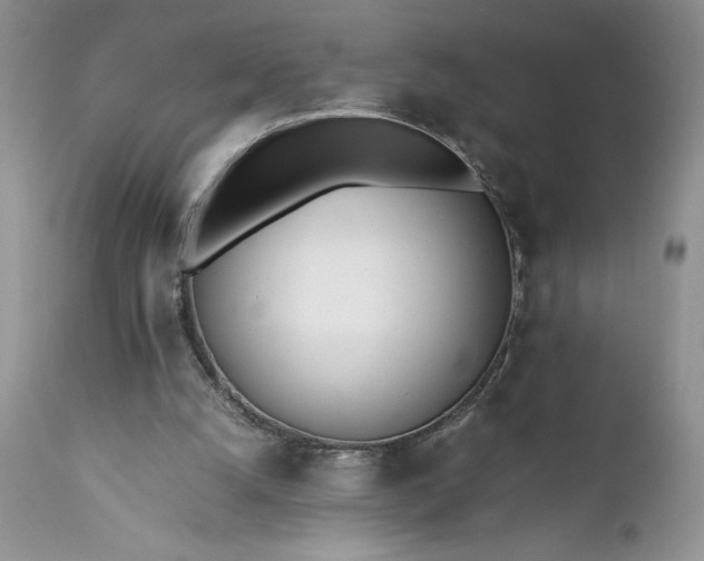 X0000111780056200907301131