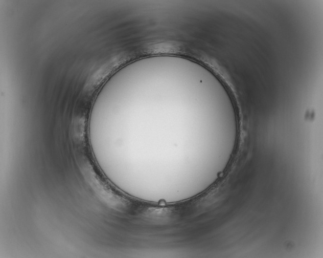 X0000111780057200907301131